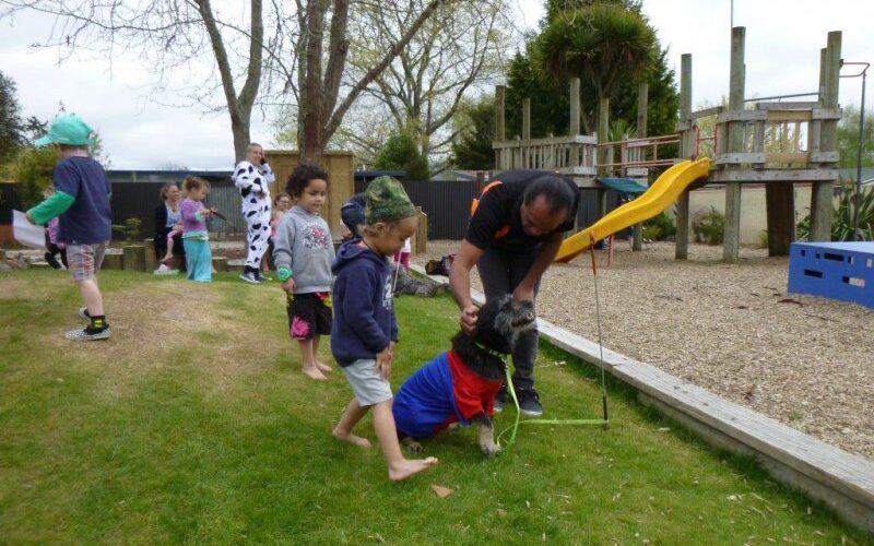 Reporoa Kindergarten